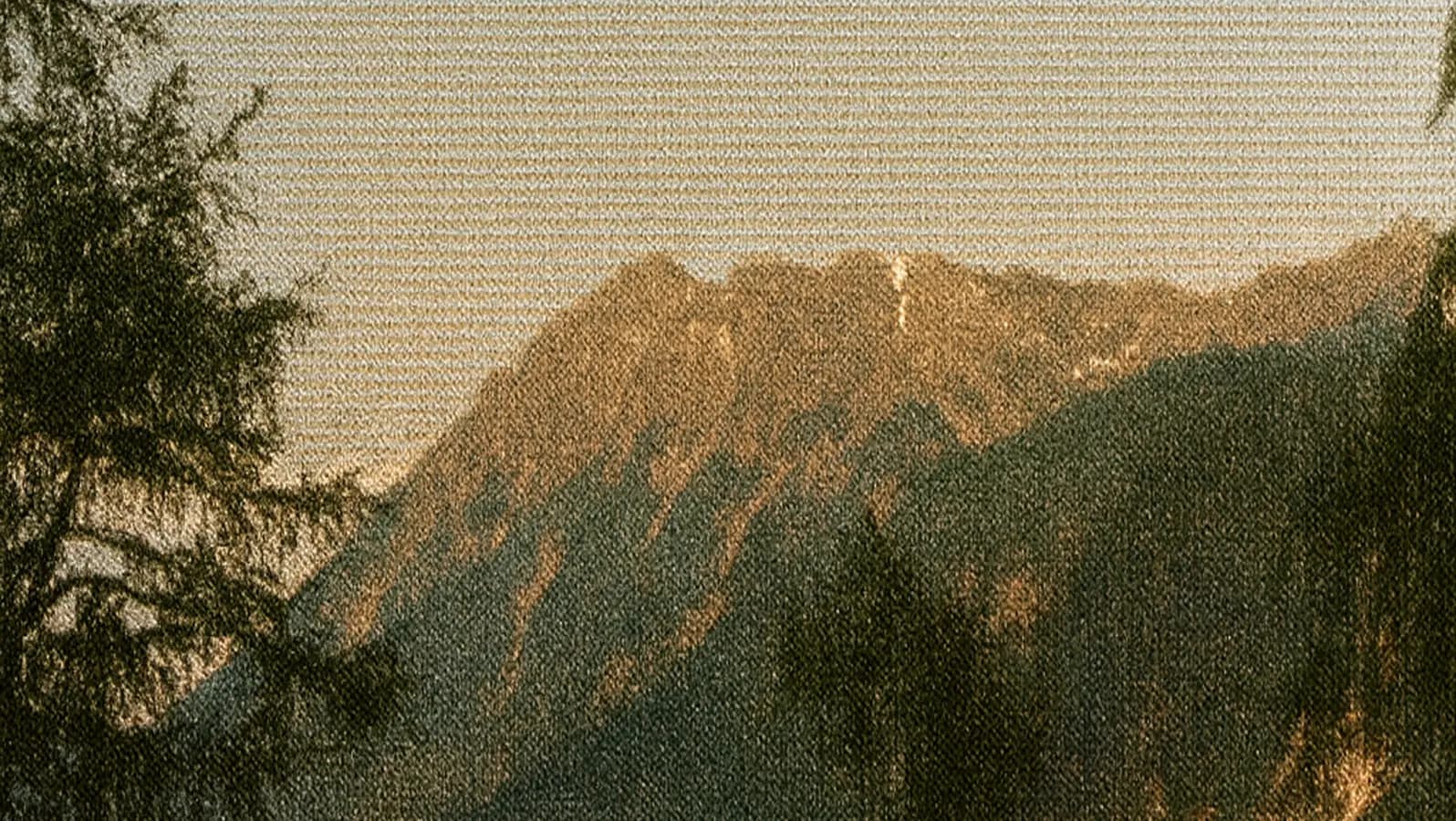 Mountain ridge at sunset with trees in the foreground